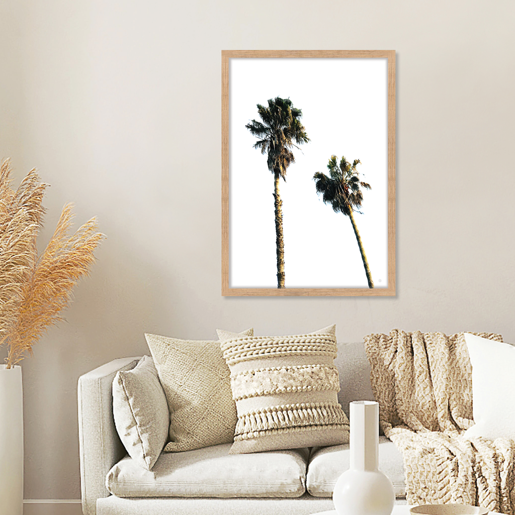SCANDI PALMS