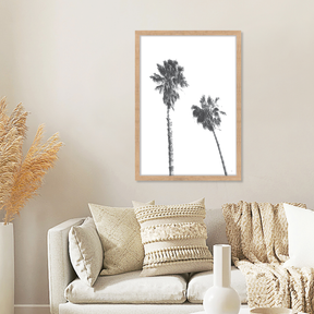 Scandi Palms ✜