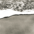 Sepia Shore