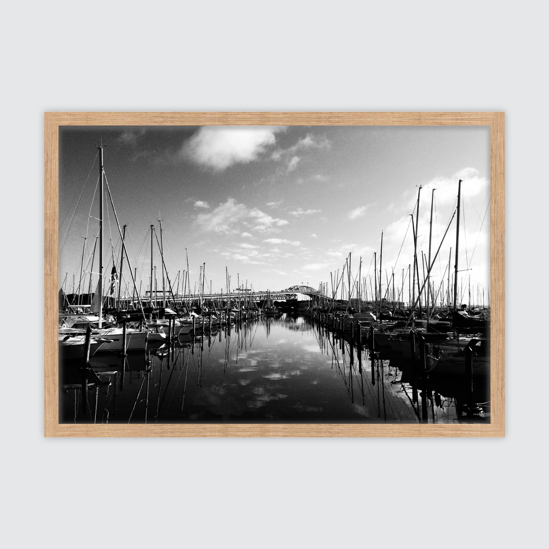 Westhaven Marina ✜